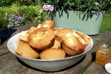 Appelcake met boekweitmeel en honing